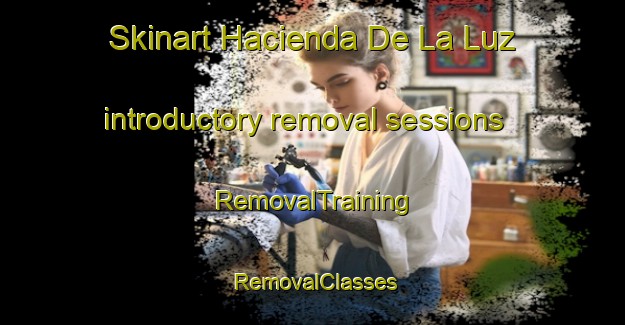 Skinart Hacienda De La Luz introductory removal sessions | RemovalTraining | RemovalClasses | SkinartTraining-Spain