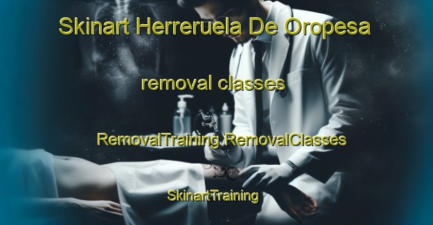 Skinart Herreruela De Oropesa removal classes | #RemovalTraining #RemovalClasses #SkinartTraining-Spain