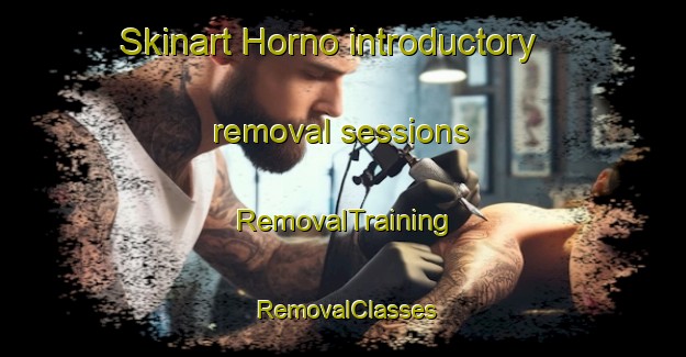 Skinart Horno introductory removal sessions | RemovalTraining | RemovalClasses | SkinartTraining-Spain