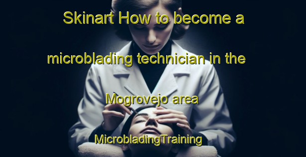 Skinart How to become a microblading technician in the Mogrovejo area | MicrobladingTraining | MicrobladingClasses | SkinartTraining-Spain