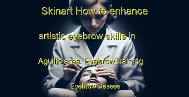Skinart How to enhance artistic eyebrow skills in Aguillo area | EyebrowTraining | EyebrowClasses | SkinartTraining-Spain