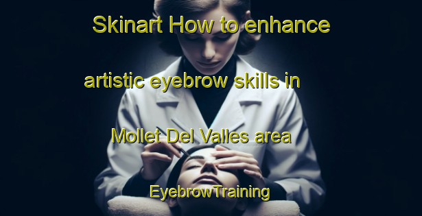 Skinart How to enhance artistic eyebrow skills in Mollet Del Valles area | EyebrowTraining | EyebrowClasses | SkinartTraining-Spain