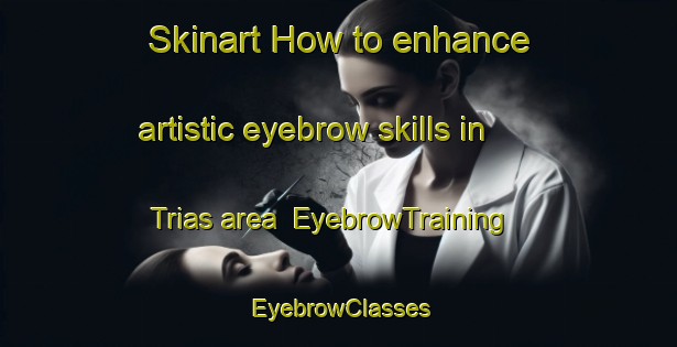 Skinart How to enhance artistic eyebrow skills in Trias area | EyebrowTraining | EyebrowClasses | SkinartTraining-Spain