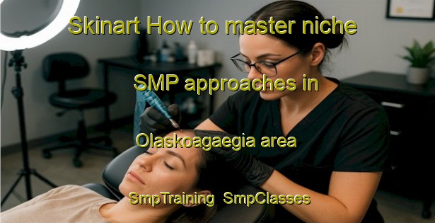 Skinart How to master niche SMP approaches in Olaskoagaegia area | SmpTraining | SmpClasses | SkinartTraining-Spain