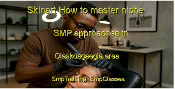 Skinart How to master niche SMP approaches in Olaskoagaegia area | SmpTraining | SmpClasses | SkinartTraining-Spain