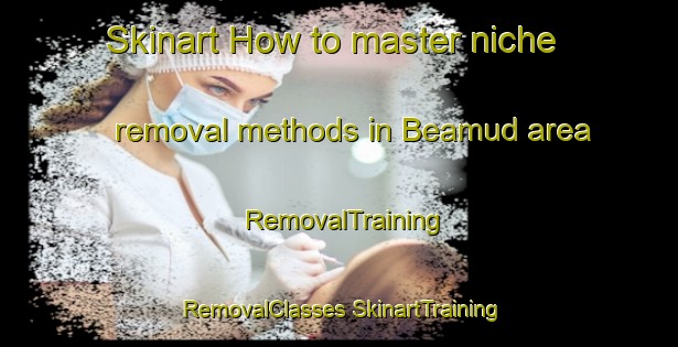 Skinart How to master niche removal methods in Beamud area | #RemovalTraining #RemovalClasses #SkinartTraining-Spain