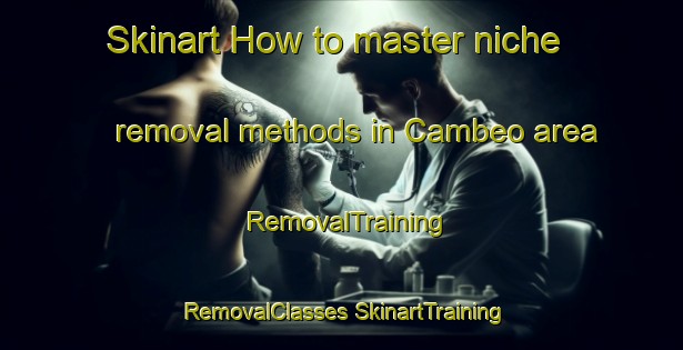 Skinart How to master niche removal methods in Cambeo area | #RemovalTraining #RemovalClasses #SkinartTraining-Spain