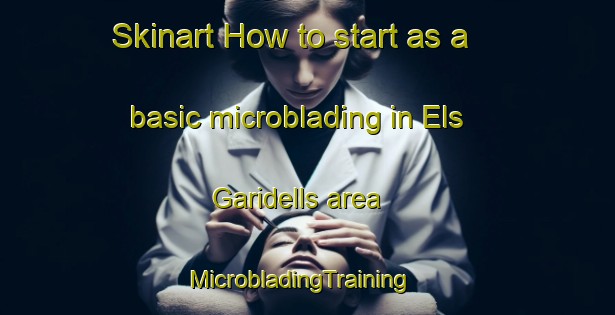 Skinart How to start as a basic microblading in Els Garidells area | MicrobladingTraining | MicrobladingClasses | SkinartTraining-Spain