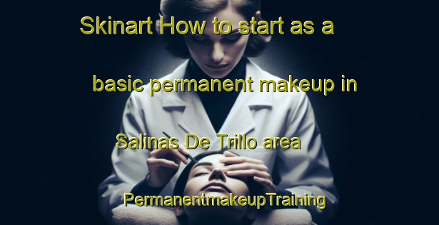 Skinart How to start as a basic permanent makeup in Salinas De Trillo area | PermanentmakeupTraining | PermanentmakeupClasses | SkinartTraining-Spain
