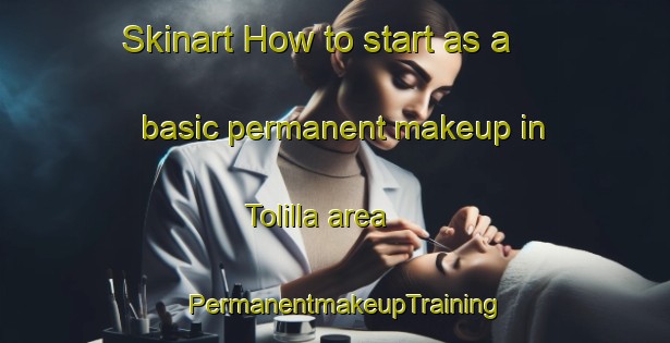 Skinart How to start as a basic permanent makeup in Tolilla area | PermanentmakeupTraining | PermanentmakeupClasses | SkinartTraining-Spain