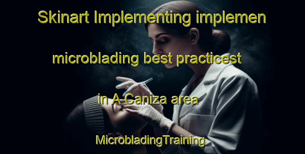 Skinart Implementing implemen microblading best practicest in A Caniza area | #MicrobladingTraining #MicrobladingClasses #SkinartTraining-Spain