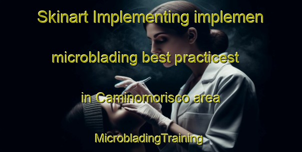 Skinart Implementing implemen microblading best practicest in Caminomorisco area | #MicrobladingTraining #MicrobladingClasses #SkinartTraining-Spain