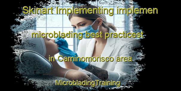 Skinart Implementing implemen microblading best practicest in Caminomorisco area | MicrobladingTraining | MicrobladingClasses | SkinartTraining-Spain