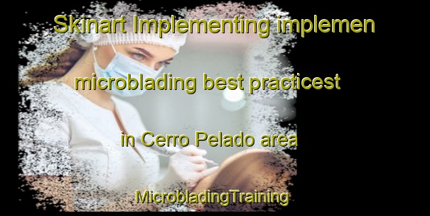 Skinart Implementing implemen microblading best practicest in Cerro Pelado area | #MicrobladingTraining #MicrobladingClasses #SkinartTraining-Spain