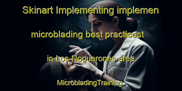 Skinart Implementing implemen microblading best practicest in Los Noguerones area | #MicrobladingTraining #MicrobladingClasses #SkinartTraining-Spain