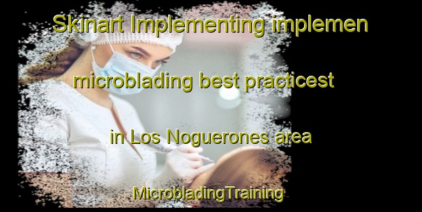 Skinart Implementing implemen microblading best practicest in Los Noguerones area | #MicrobladingTraining #MicrobladingClasses #SkinartTraining-Spain