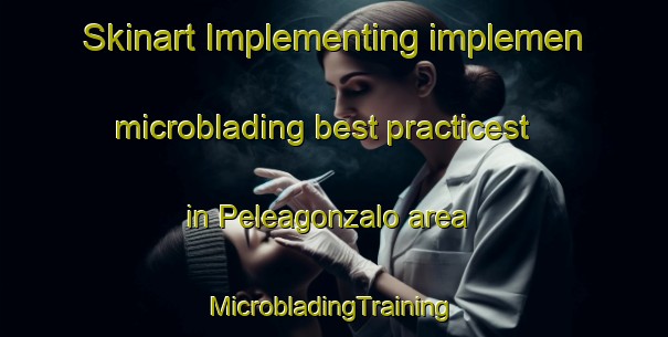 Skinart Implementing implemen microblading best practicest in Peleagonzalo area | #MicrobladingTraining #MicrobladingClasses #SkinartTraining-Spain