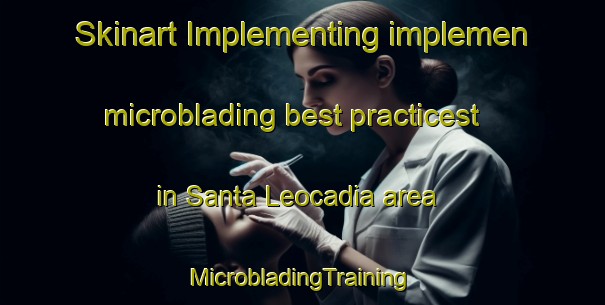 Skinart Implementing implemen microblading best practicest in Santa Leocadia area | #MicrobladingTraining #MicrobladingClasses #SkinartTraining-Spain