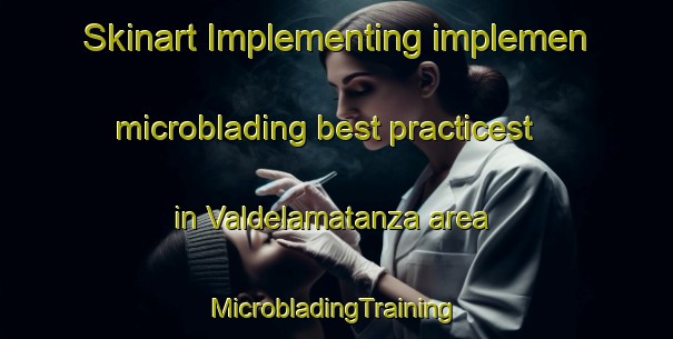 Skinart Implementing implemen microblading best practicest in Valdelamatanza area | #MicrobladingTraining #MicrobladingClasses #SkinartTraining-Spain