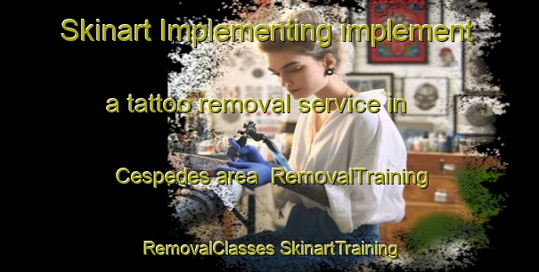 Skinart Implementing implement a tattoo removal service in Cespedes area | #RemovalTraining #RemovalClasses #SkinartTraining-Spain