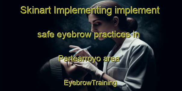 Skinart Implementing implement safe eyebrow practices in Partearroyo area | EyebrowTraining | EyebrowClasses | SkinartTraining-Spain