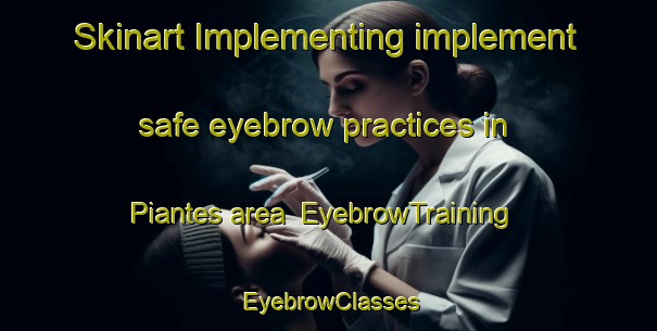 Skinart Implementing implement safe eyebrow practices in Piantes area | EyebrowTraining | EyebrowClasses | SkinartTraining-Spain