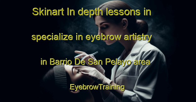 Skinart In-depth lessons in specialize in eyebrow artistry in Barrio De San Pelayo area | EyebrowTraining | EyebrowClasses | SkinartTraining-Spain