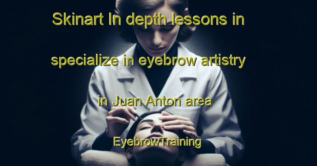 Skinart In-depth lessons in specialize in eyebrow artistry in Juan Anton area | EyebrowTraining | EyebrowClasses | SkinartTraining-Spain