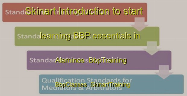 Skinart Introduction to start learning BBP essentials in Alaminos | BbpTraining | BbpClasses | SkinartTraining-Spain