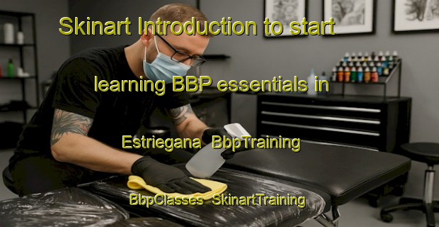 Skinart Introduction to start learning BBP essentials in Estriegana | BbpTraining | BbpClasses | SkinartTraining-Spain