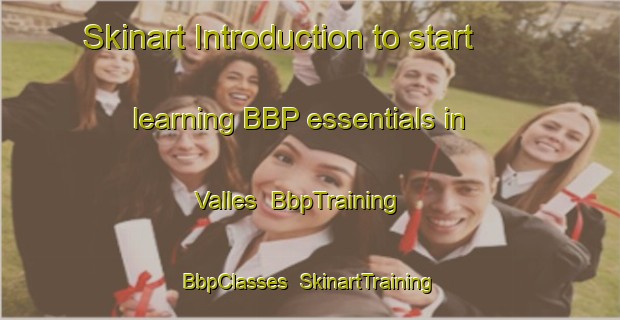 Skinart Introduction to start learning BBP essentials in Valles | BbpTraining | BbpClasses | SkinartTraining-Spain