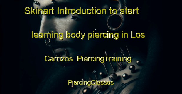 Skinart Introduction to start learning body piercing in Los Carrizos | #PiercingTraining #PiercingClasses #SkinartTraining-Spain