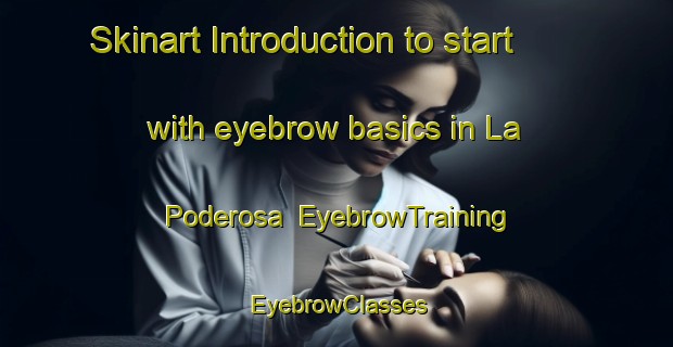 Skinart Introduction to start with eyebrow basics in La Poderosa | EyebrowTraining | EyebrowClasses | SkinartTraining-Spain