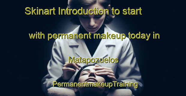Skinart Introduction to start with permanent makeup today in Matapozuelos | PermanentmakeupTraining | PermanentmakeupClasses | SkinartTraining-Spain