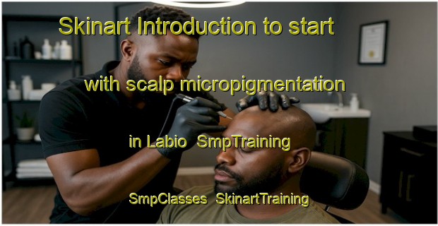 Skinart Introduction to start with scalp micropigmentation in Labio | SmpTraining | SmpClasses | SkinartTraining-Spain