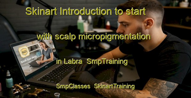 Skinart Introduction to start with scalp micropigmentation in Labra | SmpTraining | SmpClasses | SkinartTraining-Spain