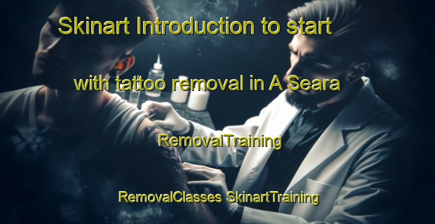 Skinart Introduction to start with tattoo removal in A Seara | #RemovalTraining #RemovalClasses #SkinartTraining-Spain