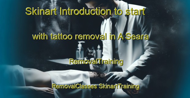 Skinart Introduction to start with tattoo removal in A Seara | #RemovalTraining #RemovalClasses #SkinartTraining-Spain