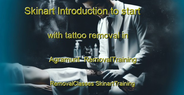 Skinart Introduction to start with tattoo removal in Agramunt | #RemovalTraining #RemovalClasses #SkinartTraining-Spain