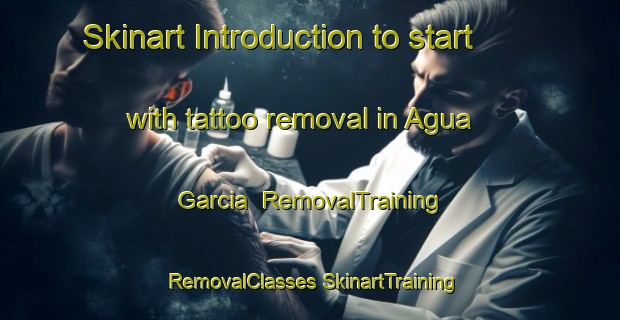 Skinart Introduction to start with tattoo removal in Agua Garcia | #RemovalTraining #RemovalClasses #SkinartTraining-Spain