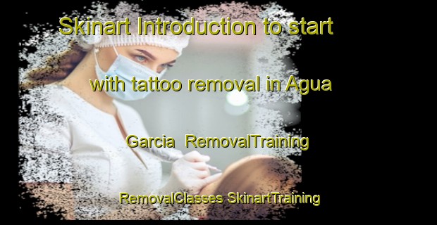 Skinart Introduction to start with tattoo removal in Agua Garcia | #RemovalTraining #RemovalClasses #SkinartTraining-Spain