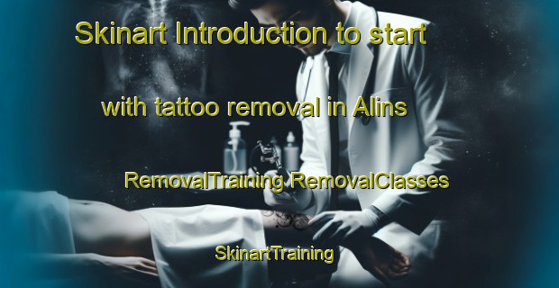 Skinart Introduction to start with tattoo removal in Alins | #RemovalTraining #RemovalClasses #SkinartTraining-Spain