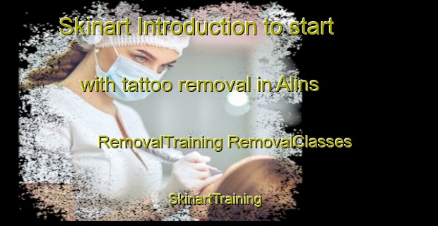 Skinart Introduction to start with tattoo removal in Alins | #RemovalTraining #RemovalClasses #SkinartTraining-Spain