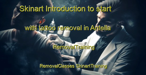 Skinart Introduction to start with tattoo removal in Antella | #RemovalTraining #RemovalClasses #SkinartTraining-Spain