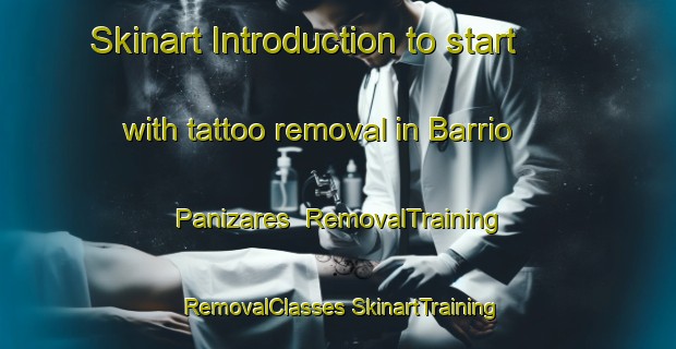 Skinart Introduction to start with tattoo removal in Barrio Panizares | #RemovalTraining #RemovalClasses #SkinartTraining-Spain