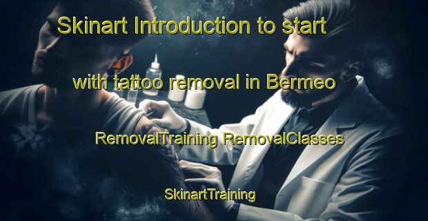 Skinart Introduction to start with tattoo removal in Bermeo | #RemovalTraining #RemovalClasses #SkinartTraining-Spain