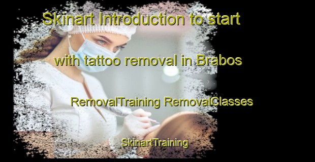 Skinart Introduction to start with tattoo removal in Brabos | #RemovalTraining #RemovalClasses #SkinartTraining-Spain