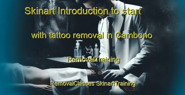 Skinart Introduction to start with tattoo removal in Cambono | #RemovalTraining #RemovalClasses #SkinartTraining-Spain