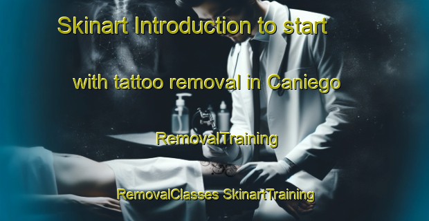 Skinart Introduction to start with tattoo removal in Caniego | #RemovalTraining #RemovalClasses #SkinartTraining-Spain