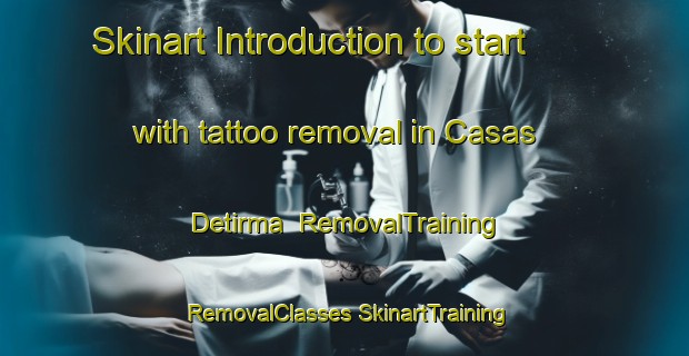 Skinart Introduction to start with tattoo removal in Casas Detirma | #RemovalTraining #RemovalClasses #SkinartTraining-Spain